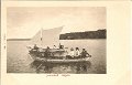 Jonsered. Aspen. Odaterat. Imp. J. Portelius