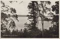 Jonsered. Parti av sjon Aspen. Postganget 8 mars 1949. Pressbyran 19398