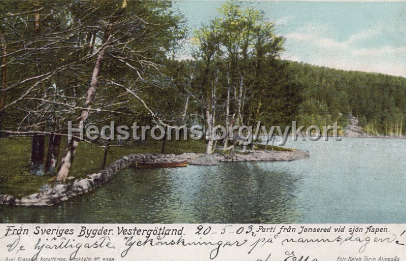 Fran Sveriges bygder. Vestergotland. Parti fran Jonsered vid sjon Aspen. Postganget 20 maj 1903. Foto Kaleb Torin, Alingsas. Axel Eliassons Konstforlag, Stockholm No. 3368.jpg - Från Sveriges bygder. Vestergötland. Parti från Jonsered vid sjön Aspen.Postgånget 20 maj 1903.Foto. Kaleb Torin, Alingsås.Axel Eliassons Konstförlag, Stockholm No. 3368.