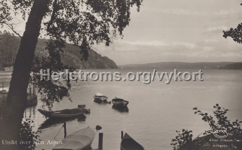 Utsikt over sjon Aspen. Odaterat. Einar erikson, Alingsas (2).jpg - Utsikt över sjön Aspen.Odaterat.Einar Erikson, Alingsås.