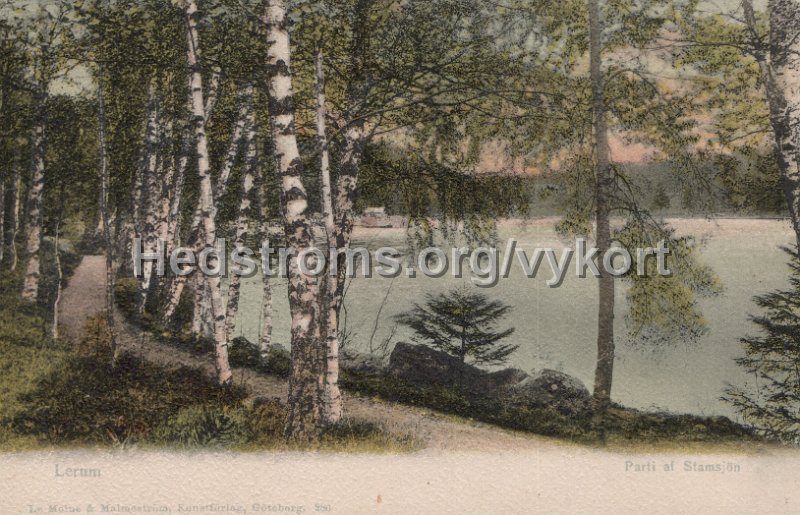 Lerum. Parti af Stamsjon. Odaterat. LeMoine Malmestron Konstforlag, Goteborg. 286.jpg - Lerum. Parti af Stamsjön.Odaterat.LeMoine & Malmeströn Konstförlag, Göteborg. 286.