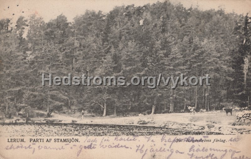 Lerum. Parti af Stamsjon. Postganget 17 juni 19xx. Jac. ægerstroms forlah.jpg - Lerum. Parti af Stamsjön.Postgånget 17 juni 19xx.Jac. Hægerströms förlag.