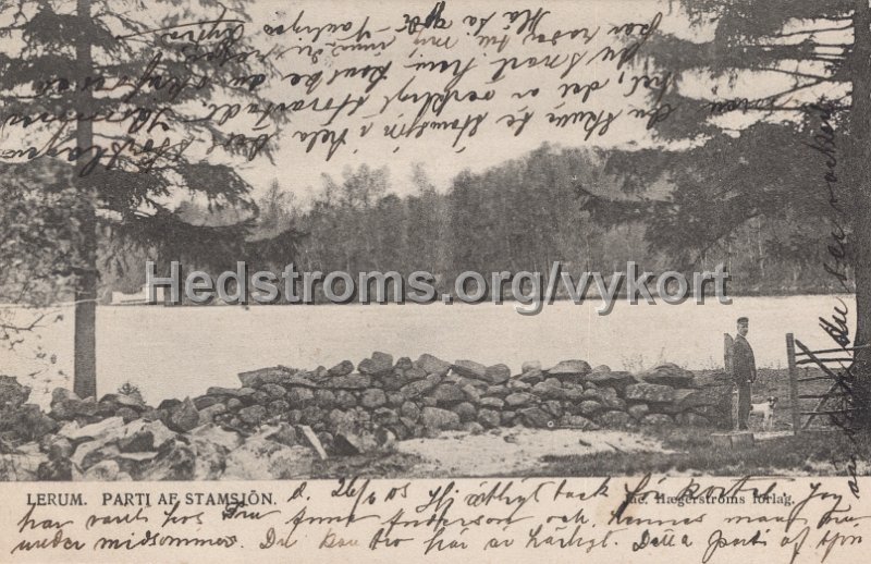 Lerum. Parti af Stamsjon. Postganget 26 juni 1905. Jac. Hægerstroms forlag.jpg - Lerum. Parti af Stamsjön.Postgånget 26 juni 1905.Jac. Hægerströms förlag.