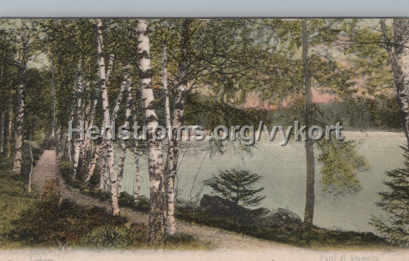 Lerum. Parti af Stamsjon. Postganget 27 juli 1905. LeMoine Malmestron Konstforlag, Goteborg. 286.jpg - Lerum. Parti af Stamsjön.Postgånget 27 juli 1905.LeMoine & Malmeströn Konstförlag, Göteborg. 286.