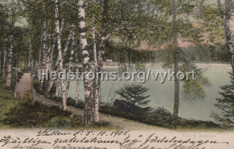 Lerum. Parti af Stamsjon. Postganget 5 oktober 1905. LeMoine Malmestron Konstforlag, Goteborg. 286.jpg - Lerum. Parti af Stamsjön.Postgånget 5 oktober 1905.LeMoine & Malmeströn Konstförlag, Göteborg. 286.