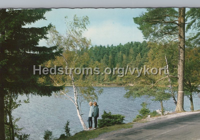 Lerum. Stamsjon. Daterat Knattekulla9 juni 1971. Forlag  ensamratt A B H. Lindenhag, Goteborg. 801.jpg - Lerum. Stamsjön.Daterat Knattekulla 9 juni 1971.Förlag & ensamrätt: A/B H. Lindenhag, Göteborg. 801.