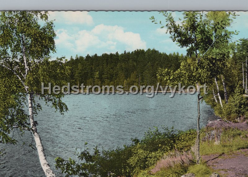 Lerum. Stamsjon. Odaterat. Forlag  ensamratt A B H. Lindenhag, Goteborg - n r S 182. T-foto.jpg - Lerum. Stamsjön.Odaterat.Förlag & ensamrätt: A/B H. Lindenhag, Göteborg - n r S 182. T-foto.