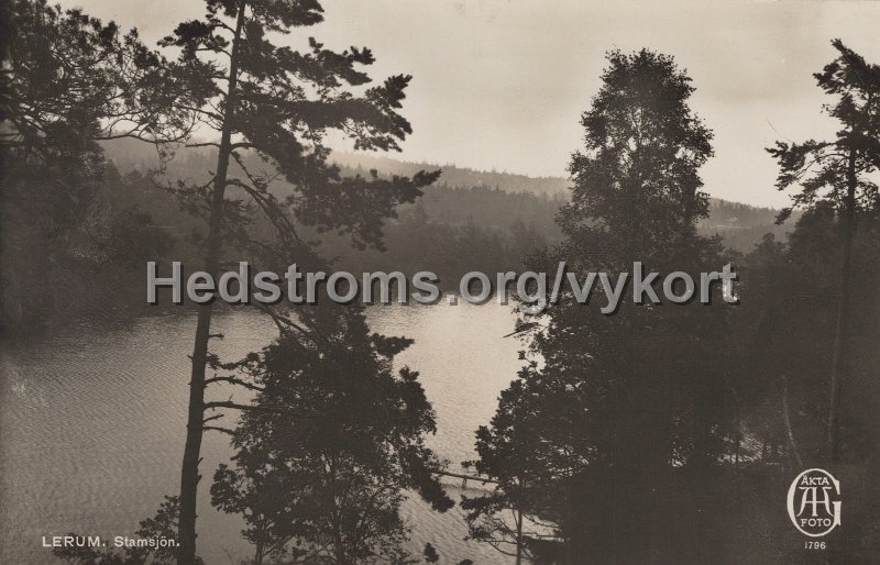 Lerum. Stamsjon. Postganget 20 juli 1945. Forlag Alrik Hedlund, Goteborg. 1796.jpg - Lerum. Stamsjön.Postgånget 20 juli 1945.Förlag: Alrik Hedlund, Göteborg. 1796.