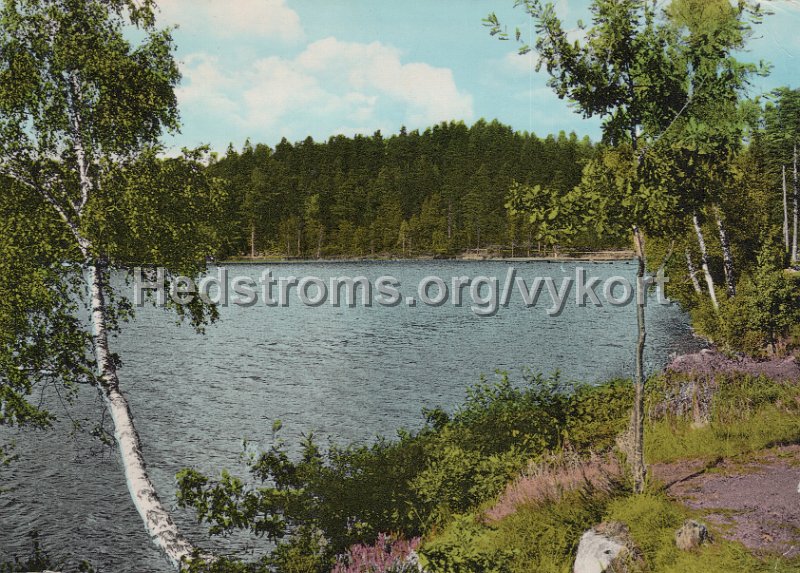 Lerum. Stamsjon. Postganget. Forlag  ensamratt A B H. Lindenhag, Goteborg - n r S 182.jpg - Lerum. Stamsjön.Postgånget.Förlag & ensamrätt: A/B H. Lindenhag, Göteborg - n r S 182.
