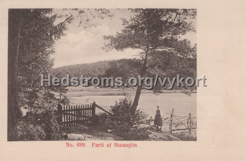 No. 699. Parti af Stamsjon. Odaterat.jpg - No. 699. Parti af Stamsjön.Odaterat.
