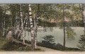 Lerum. Parti af Stamsjon. Postganget 27 juli 1905. LeMoine Malmestron Konstforlag, Goteborg. 286