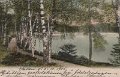 Lerum. Parti af Stamsjon. Postganget 5 oktober 1905. LeMoine Malmestron Konstforlag, Goteborg. 286