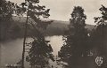 Lerum. Stamsjon. Postganget 20 juli 1945. Forlag Alrik Hedlund, Goteborg. 1796