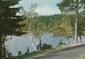 Lerum. Stamsjon. Postganget 29 juli 1967. Forlag  ensamratt A B H. Lindenhag, Goteborg. 801