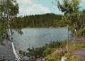 Lerum. Stamsjon. Postganget. Forlag  ensamratt A B H. Lindenhag, Goteborg - n r S 182