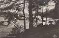 Lerum. Stamsjon.Postganget 20 februari 1937. Forlag Alrik Hedlund, Goteborg. Traff 865