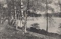 Stamsjon. Lerum. Postganget 11 juli 1910. Forlag Jac. Hægerstrom, Lerum