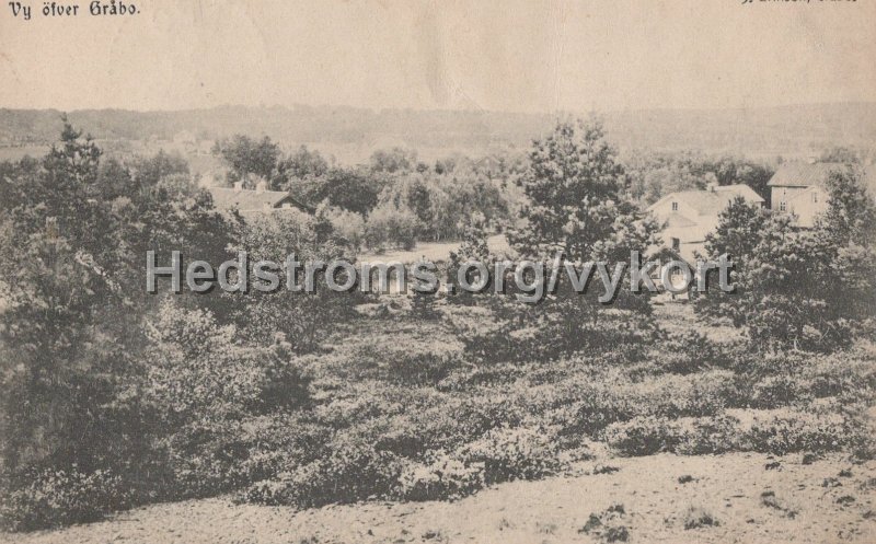 Vy ofver Grabo. Postganget 5 december 1910. J. Erikson, Grabor.jpg - Vy öfver Gråbo.Postgånget 5 december 1910.J. Erikson, Gråbo.