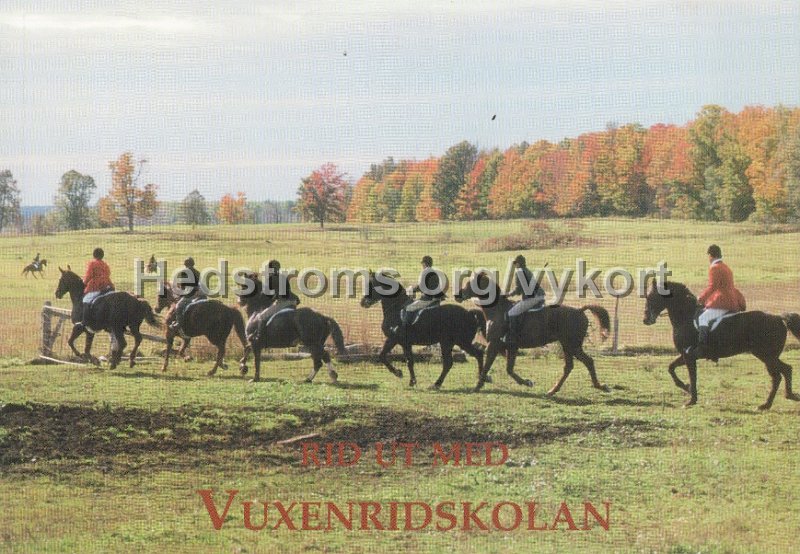 Vuxenridskolan. Odaterat. Vysida.jpg - Vuxenridskolan.Odaterat.Vysida.