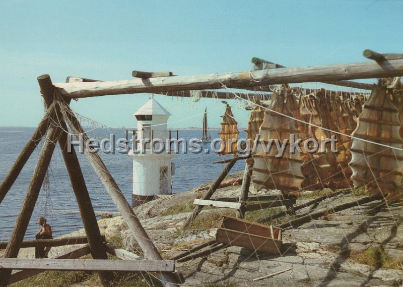 Bohuslan Klippor o. hav och lutfisk pa tork. Odaterat. Carla-forlaget, Lysekil. 1529.jpg - Bohuslän Klippor o. hav och lutfisk på tork.Odaterat.Carla-förlaget, Lysekil. 1529.