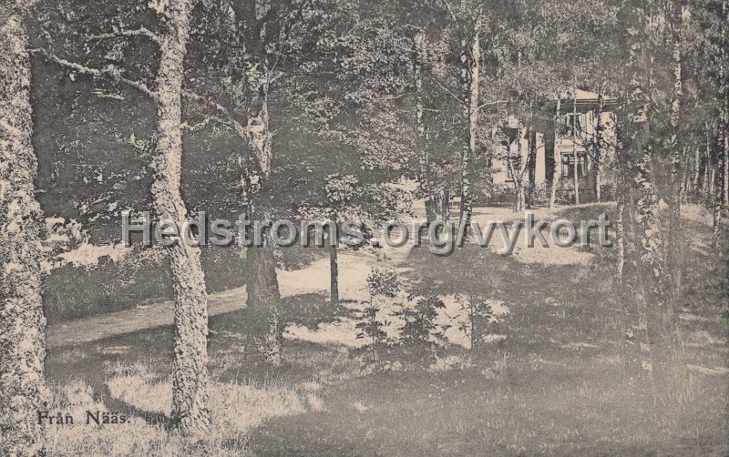 Fran Naas. Postgangt 12 juni 1907.jpg - Från Nääs.Postgånget 12 juni 1907.