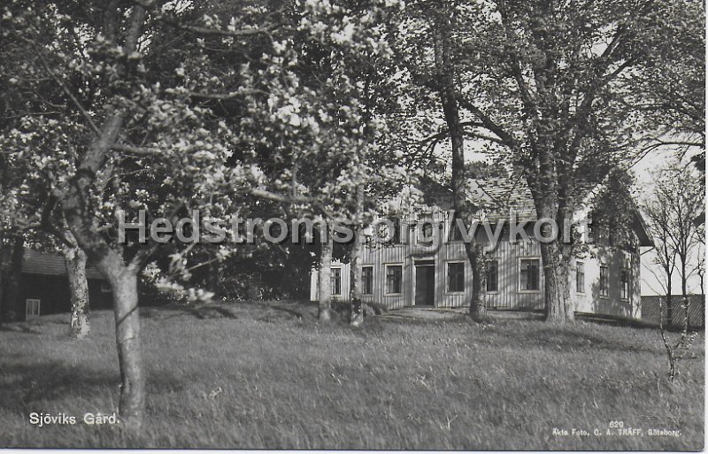 Sjoviks Gard. Daterat sommaren 1940. Broderna Eriksson, Sjovik. Akta Foto. C.A. Traff, Goteborg. 620.jpeg - Sjöviks Gård.Daterat sommaren 1940.Bröderna Eriksson, Sjövik.Äkta Foto. C.A. Träff, Göteborg. 620.