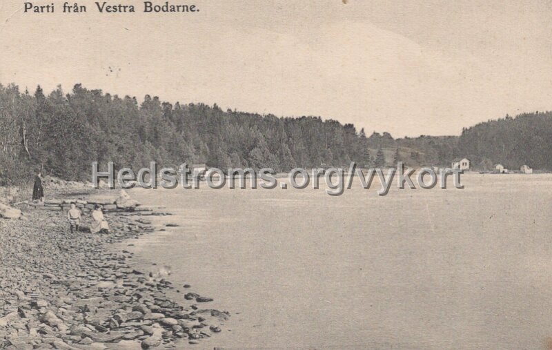 Parti fran Vestra Bodarne. Postganget 23 juli 1908.jpg - Parti från Vestra Bodarne.Postgånget 23 juli 1908.