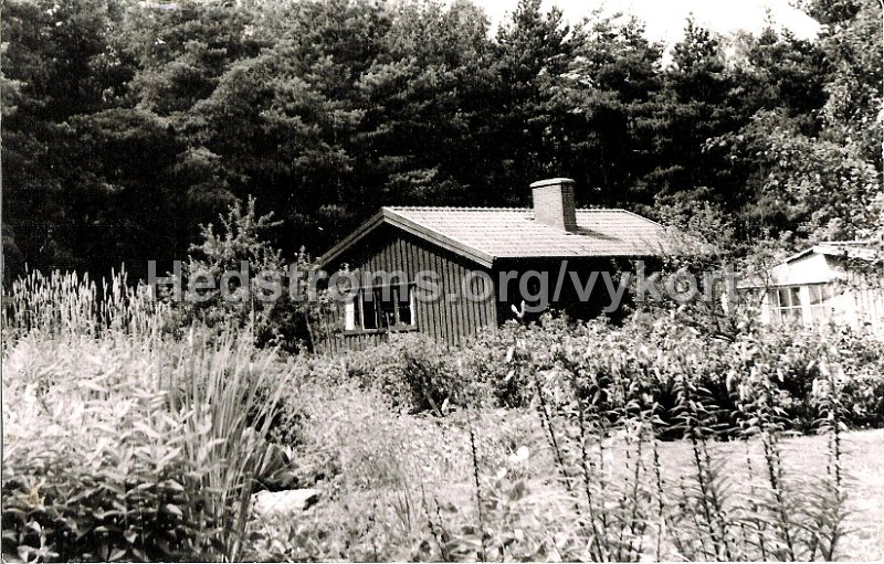 Daterat i Lerum 23 Aug 1967. Skickat till Lerum samma dag. Engelsk text. Var nagonstans..jpeg - Stärkens handelsträdgård på Edenhjelms väg.Daterat i Lerum 23 Aug 1967. Skickat till Lerum samma dag. Engelsk text.