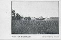 Parti fran Stenkullen. Postganget 12 mars 1909. Seth Sjostroms forlag, Stenkullen