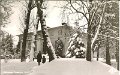 Vilohemmet Tryggestad. Lerum. Odaterat. Foto ensamratt C.A. traff, Goteborg. 372