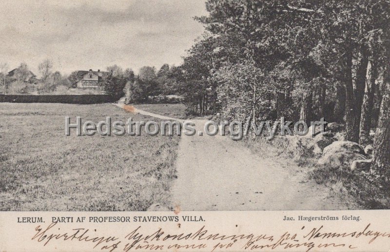 Lerum. Parti af Professor Stavenows villa. Postganget 15 septemmber 1906. Jac Hægerstroms forlag.jpg - Lerum. Parti af Professor Stavenows villa.Postgånget 15 septemmber 1906.Jac Hægerströms förlag.