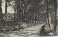 Vagparti vid Kallboryd. Postganget 8 augusti 1938