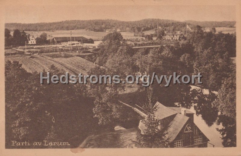 Parti av Lerum. Postganget 21 augusti 1920. Carl Brobacks forlag.jpg - Parti av Lerum.Postgånget 21 augusti 1920.Carl Brobäcks förlag.