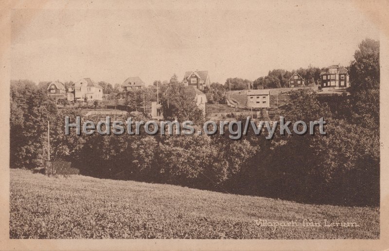 Villaparti fran Lerum. Postganget 6 juni 1925. Foto  forlag C. A. Traff.jpg - Villaparti från Lerum.Postgånget 6 juni 1925.Foto & förlag: C. A. Träff.