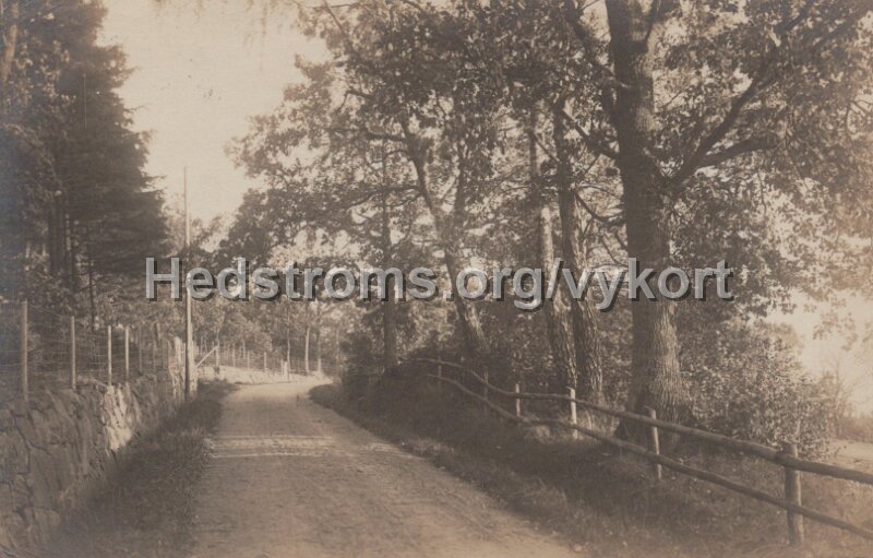 Potganget 15 november 1911. Kan det vara vid Kolboryd.jpg - Postgånget 15 november 1911.Kan det vara vid Kolboryd?